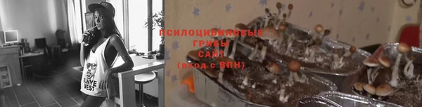соль ск Аркадак