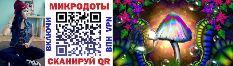 купить   Барабинск  Псилоцибиновые грибы Cubensis 