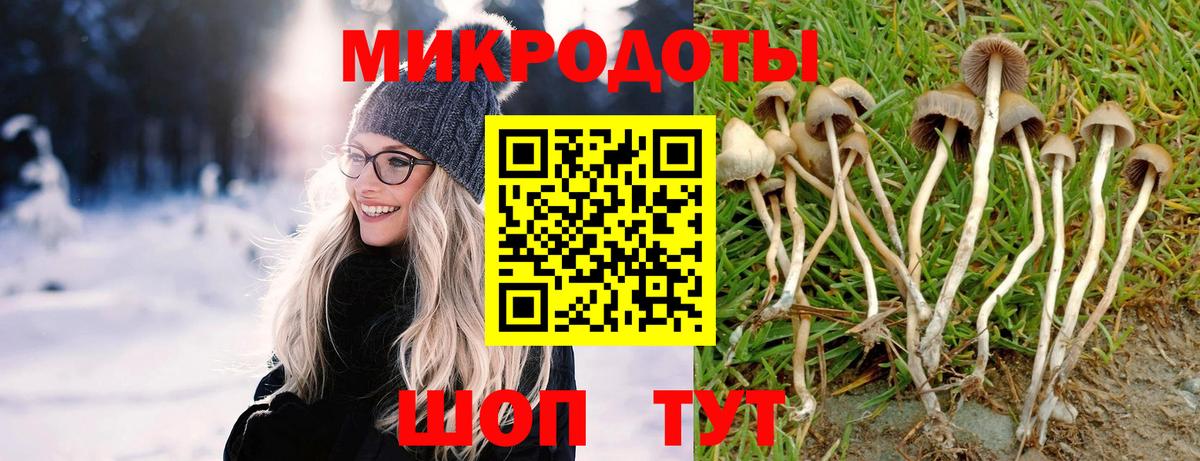Барабинск  Галлюциногенные грибы MAGIC MUSHROOMS  купить наркотик  Вход с VPN 